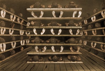 TransAtlantic Slave Trade