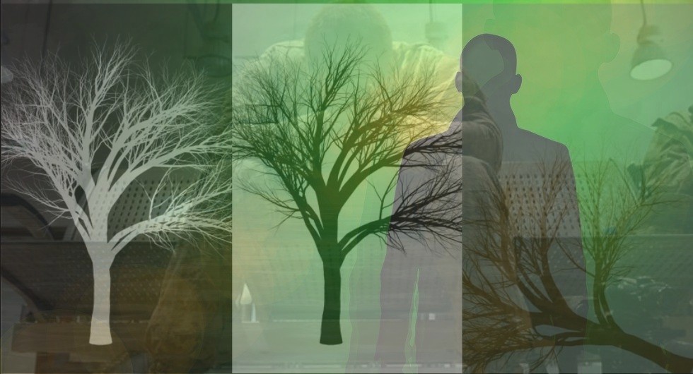 Fallen. Veteran Day Tribute