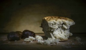 NO CAKE. QUESTIONS ON BREAD.