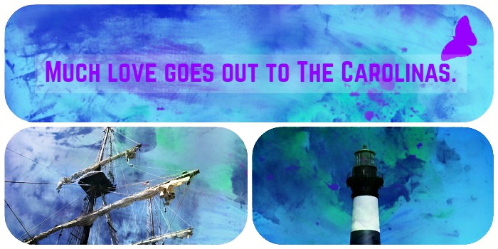 The Carolinas